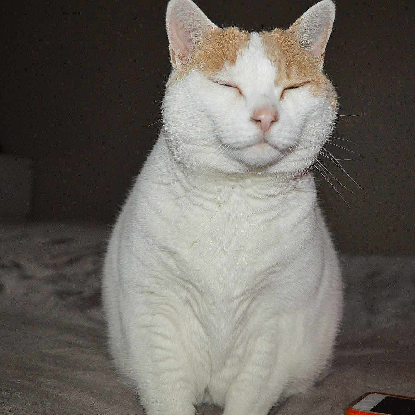 Cannelle joined the competition — help win amazing prizes!