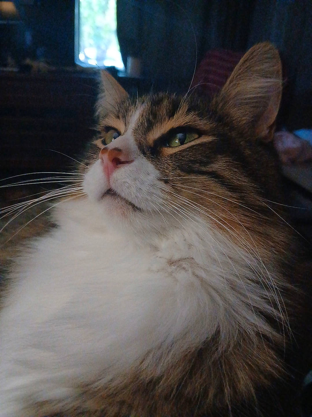 Milton