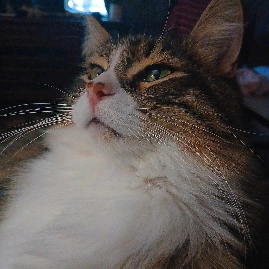 Milton