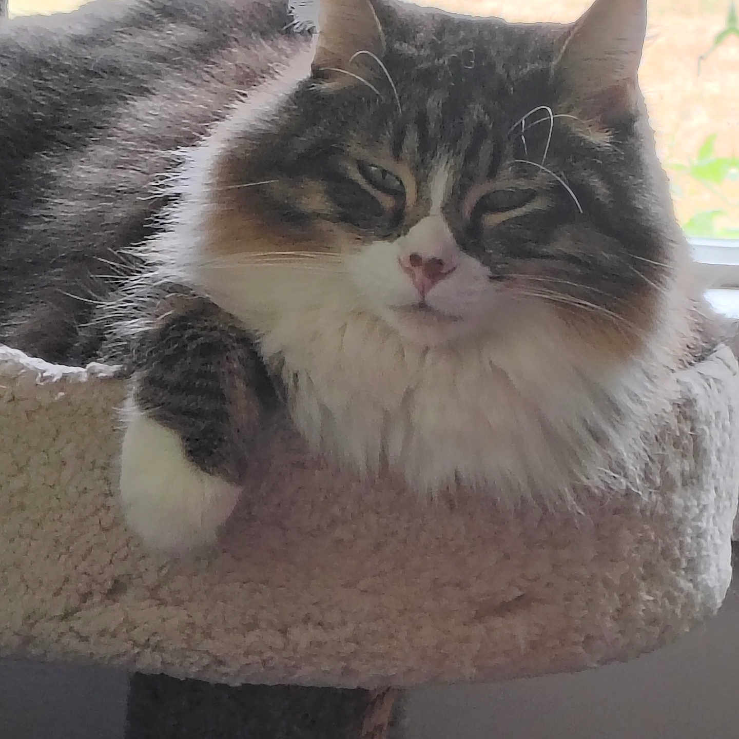 Milton