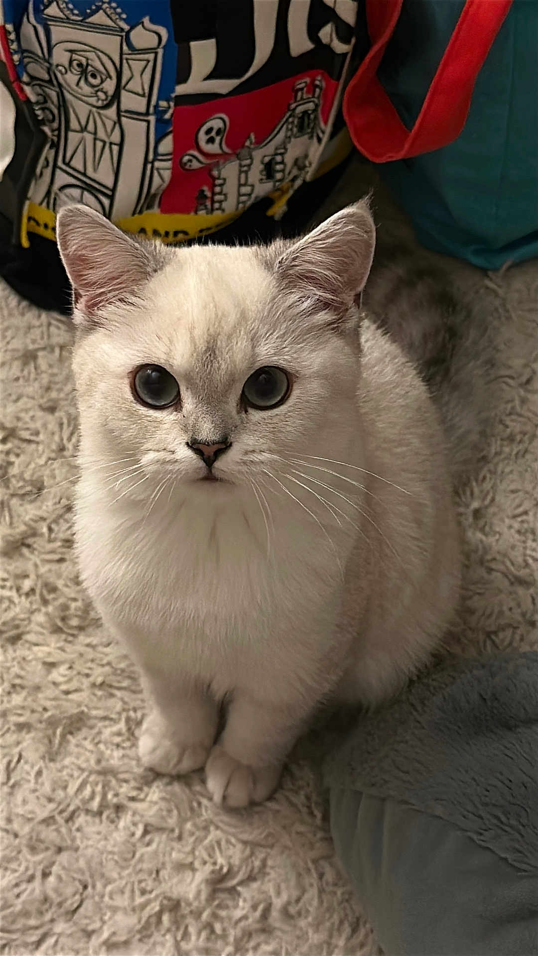 Suki