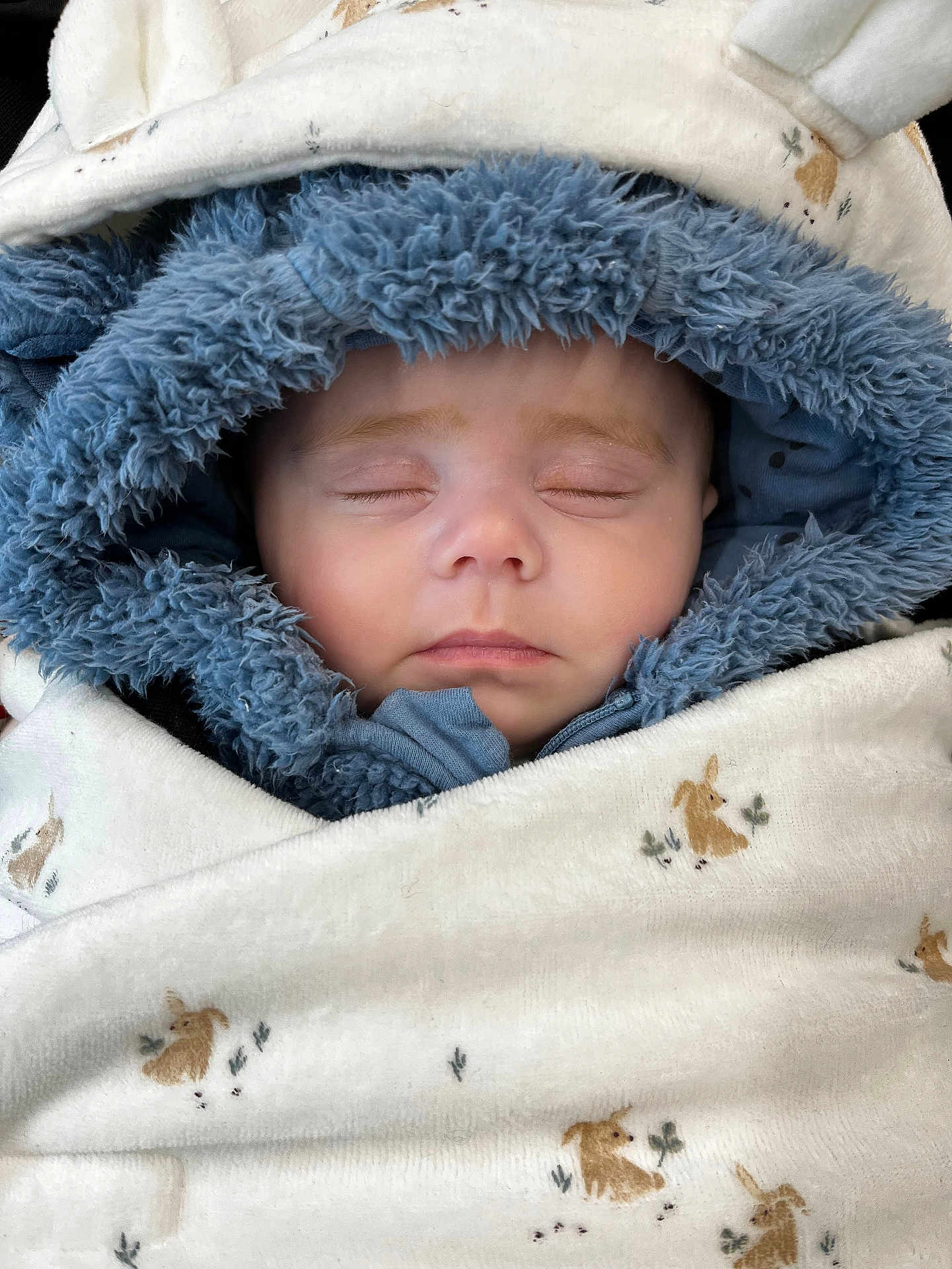 Ava participe au concours pour gagner de l'argent avec cette photo : baby, sleeping, hood, blanket, fur, blue, white, face, child, cozy, cute, infant, closed_eyes, soft, warm, clothing, portrait, rest, comfort, animal_print