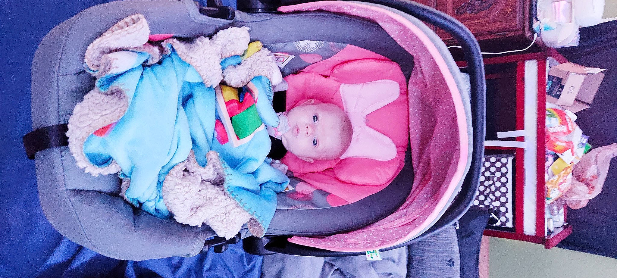 Sydney joined the competition — help win amazing prizes! baby, baby_carriage, baby_products, baby_safety, baby_toddler_clothing, car_seat, child, comfort, magenta, nap, person, pink, purple, sitting, sleep, toddler, tree, vacation, violet