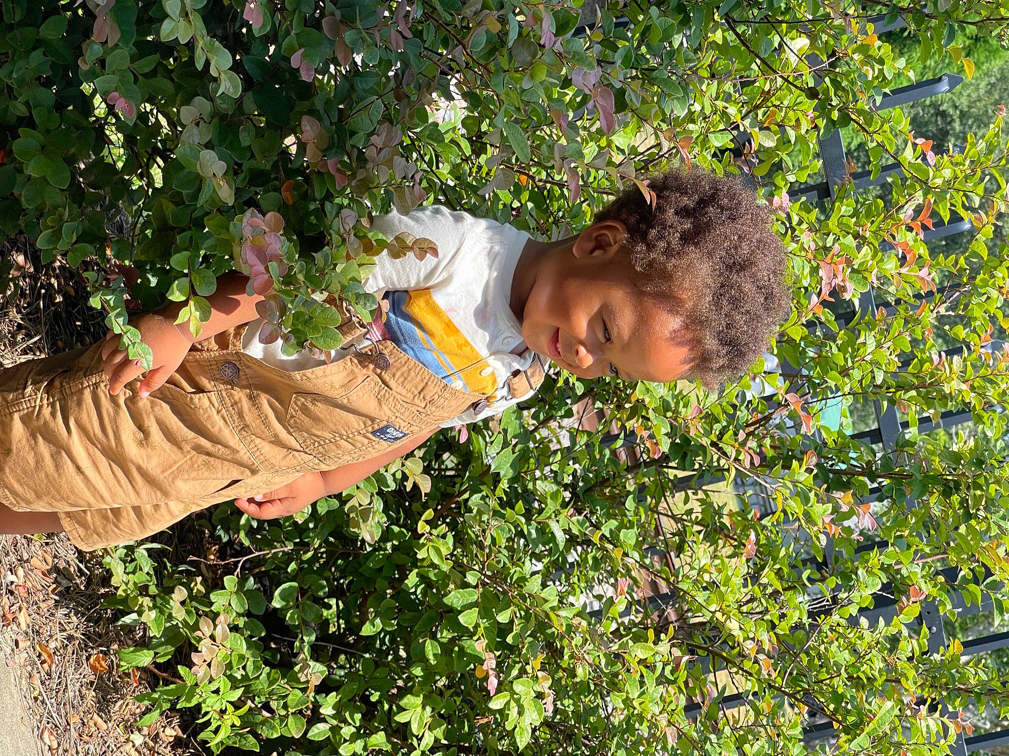 Brayden is registered to the contest to win money with this photo: adaptation, flower, flowering_plant, fun, garden, grass, groundcover, hairstyle, happy, joy, leisure, people_in_nature, person, plant, shrub, smile, soil, thigh, tree, woody_plant