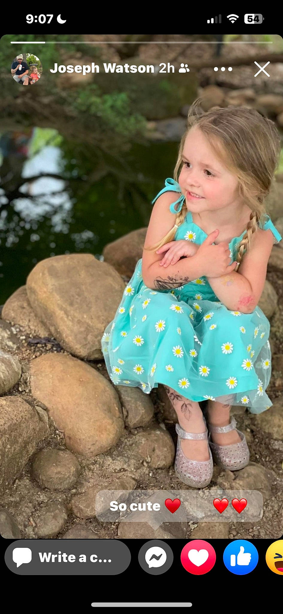Chesney joined the competition — help win amazing prizes! baby, baby_toddler_clothing, child, dress, fawn, finger, footwear, fun, grass, happy, human_body, joy, leg, leisure, people_in_nature, person, plant, shoe, sitting, standing