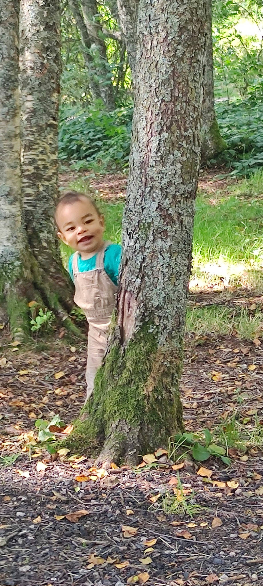 Elior participe au concours pour gagner de l'argent avec cette photo : branch, deciduous, eye, forest, grass, groundcover, joy, natural_landscape, nature_reserve, people_in_nature, person, plant, soil, terrestrial_plant, toddler, tree, trunk, twig, wood, woodland