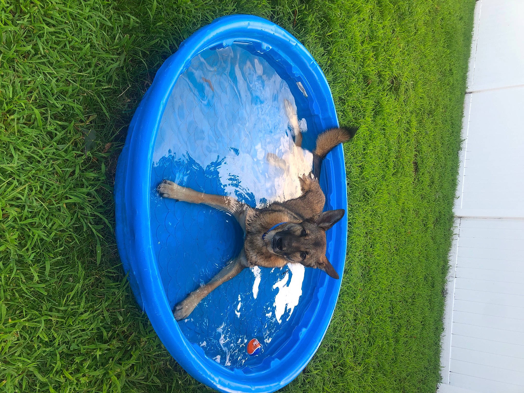 Kody is registered to the contest to win money with this photo: automotive_wheel_system, azure, blue, boat, boats_and_boating_equipment_and_supplies, circle, door_knocker, electric_blue, fish, grass, leisure, metal, pole, recreation, symbol, tail, water, watercraft, window, wood