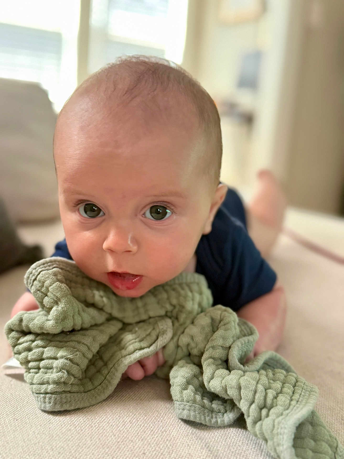 Joe is registered to the contest to win money with this photo: baby, child, blanket, tummy, face, eyes, skin, infant, person, indoors, soft_texture, clothing, head, expression, curious, closeup, portrait, focus, couch, resting