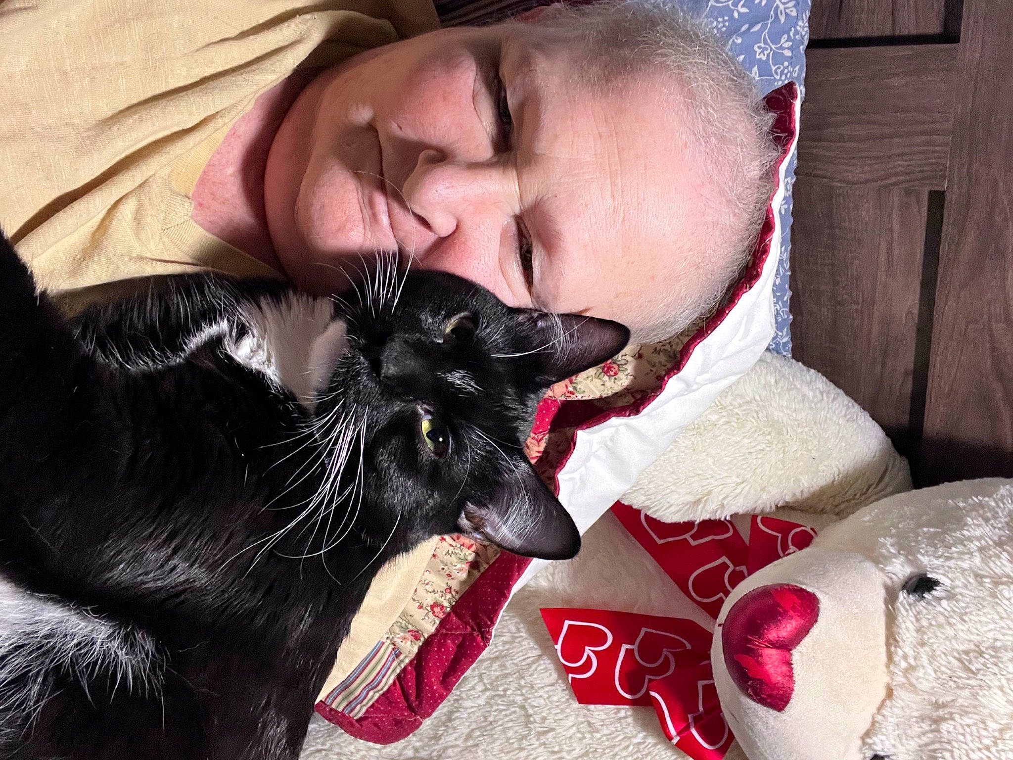 Snoopy is registered to the contest to win money with this photo: beard, black_cat, carmine, carnivore, cat, claw, comfort, companion_dog, dog_breed, domestic_short_haired_cat, ear, felidae, formal_wear, fur, gesture, happy, lap, paw, small_to_medium_sized_cats, whiskers