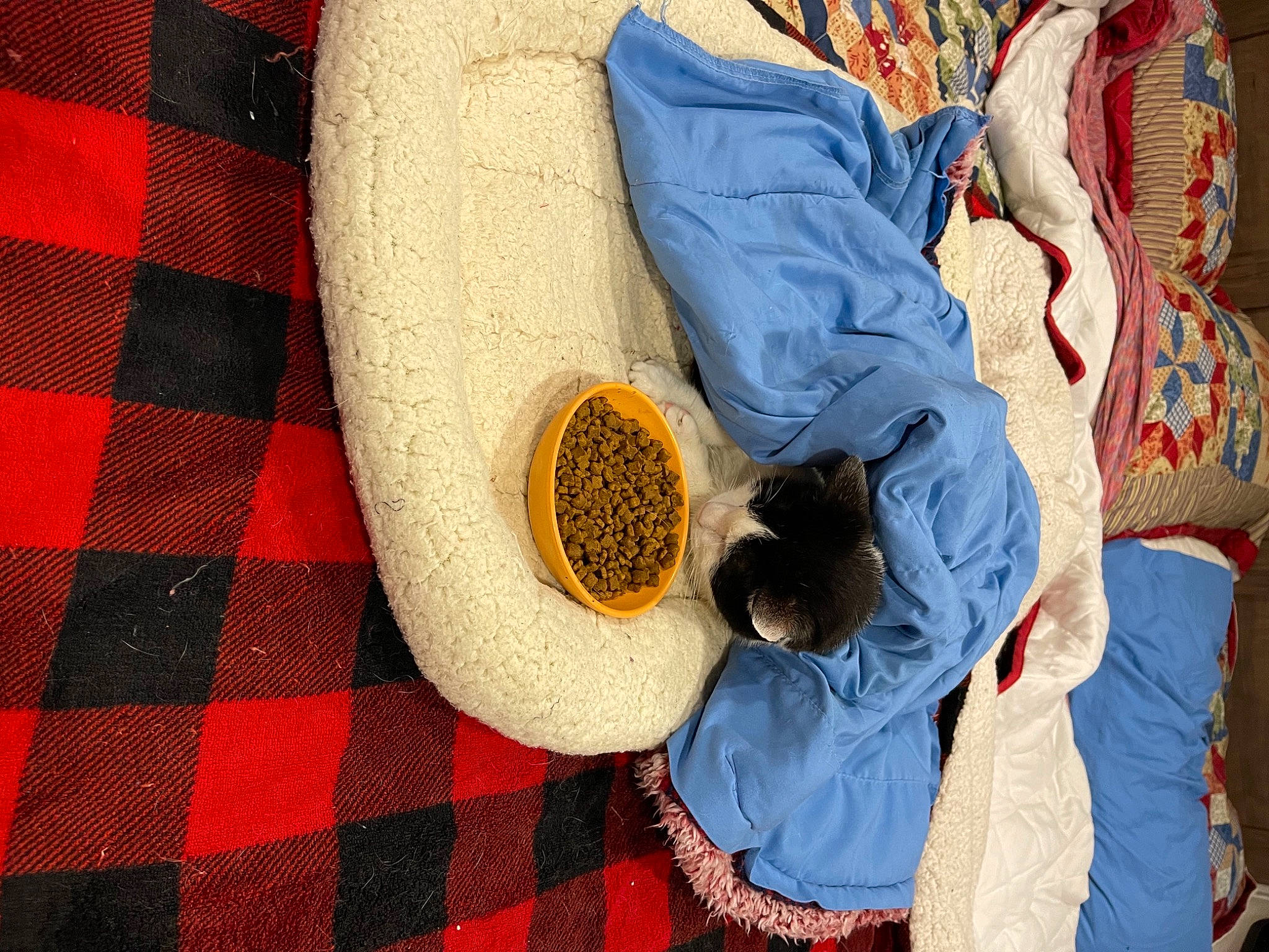 Oliver joined the competition — help win amazing prizes! bag, child, circle, comfort, design, flooring, fun, hat, headgear, human_leg, leg, leisure, linens, pattern, plaid, shoe, sneakers, sun_hat, tartan, textile