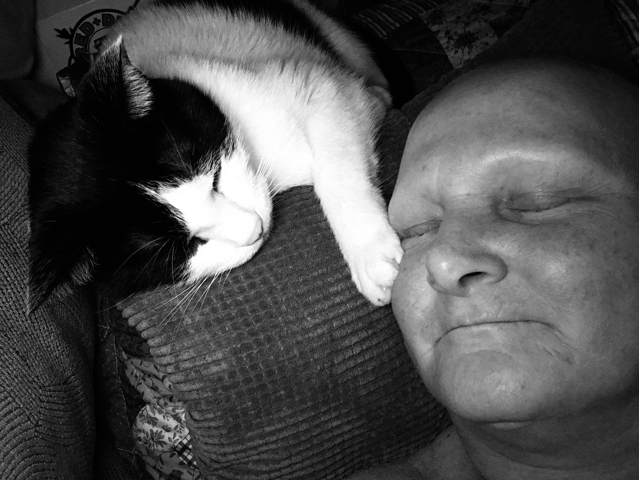 Oliver is registered to the contest to win money with this photo: beard, black_and_white, carnivore, cat, comfort, ear, eye, felidae, finger, flash_photography, gesture, happy, head, jaw, mouth, nose, skin, small_to_medium_sized_cats, style, whiskers