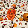 Blossom Lily is registered to the contest to win money with this photo: baby, pumpkin_costume, jack_o_lantern, autumn, fall, pumpkin, orange_clothing, white_pumpkin, orange_pumpkin, gnome, mushroom_pattern, leaf_pattern, blanket, smiling, cute, festive, holiday, cozy, sitting, portrait