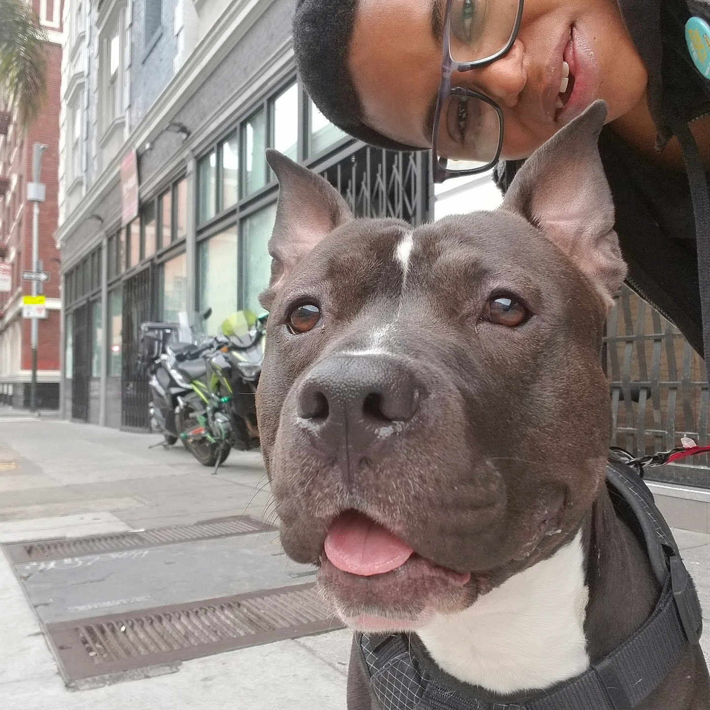 Thoven is registered to the contest to win money with this photo: black_and_white, building, casual, city, daytime, dog, friendship, glasses, happy, harness, leash, motorcycle, outdoor, person, pet, portrait, sidewalk, smile, tongue_out, urban