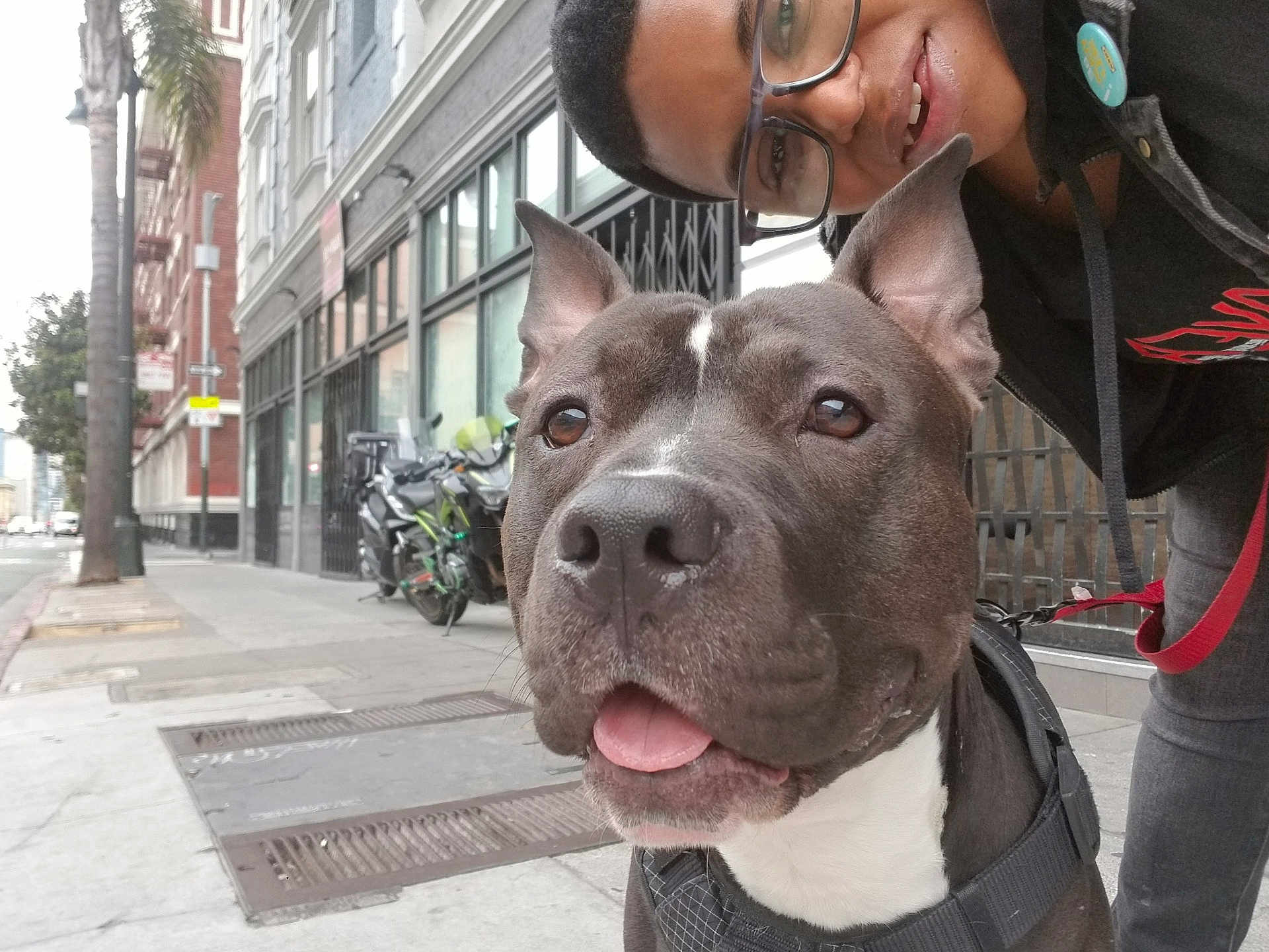 Thoven is registered to the contest to win money with this photo: black_and_white, building, casual, city, daytime, dog, friendship, glasses, happy, harness, leash, motorcycle, outdoor, person, pet, portrait, sidewalk, smile, tongue_out, urban