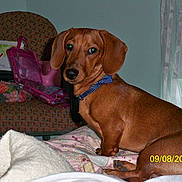 Sonny is registered to the contest to win money with this photo: