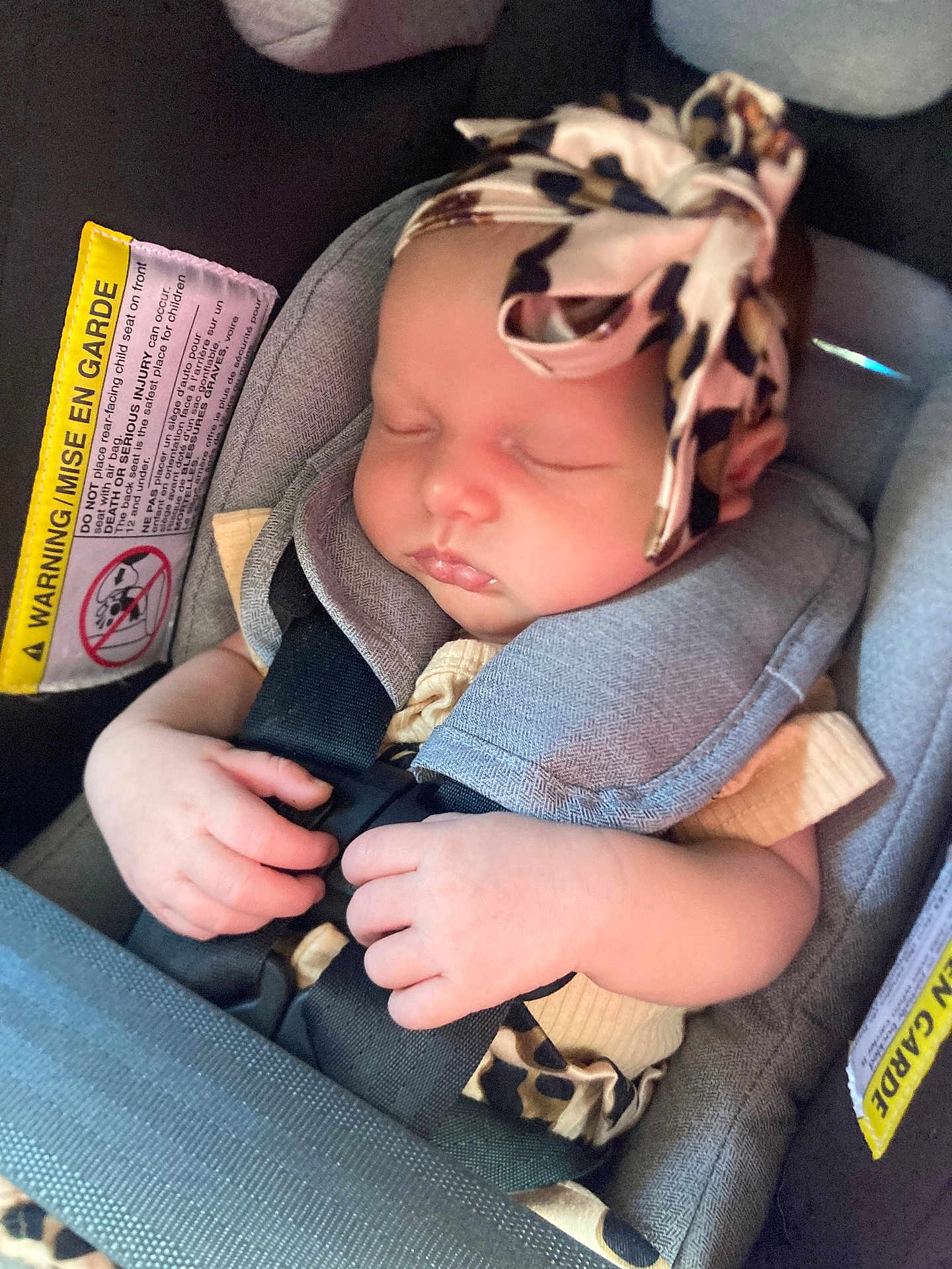 Brynleigh joined the competition — help win amazing prizes! baby, sleeping, car_seat, headband, leopard_print, infant, child, safety_strap, cute, peaceful, hands, clothing, seat, transportation, portrait, young_child, comfort, resting, indoors, closeup