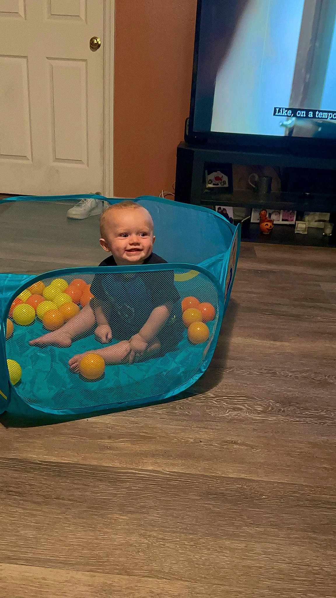 Gunner joined the competition — help win amazing prizes! baby, baby_products, baby_toddler_clothing, baby_toys, child, comfort, door, floor, flooring, fun, hardwood, home_appliance, infant_bed, joy, person, play, room, sitting, television, television_set