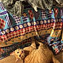 animal, bedspread, blanket, cat, colorful, cozy, curious, ears, feline, floor, home, indoor, looking_up, orange_tabby, patterned_fabric, pet, resting, striped, whiskers, wood_floor
