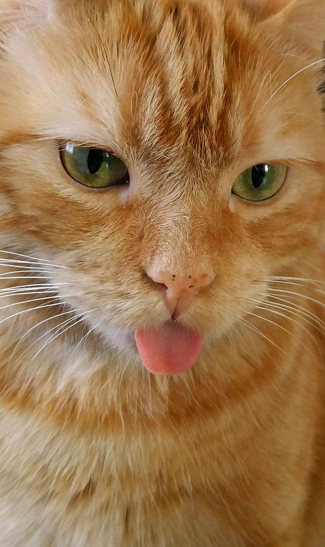 Marcel