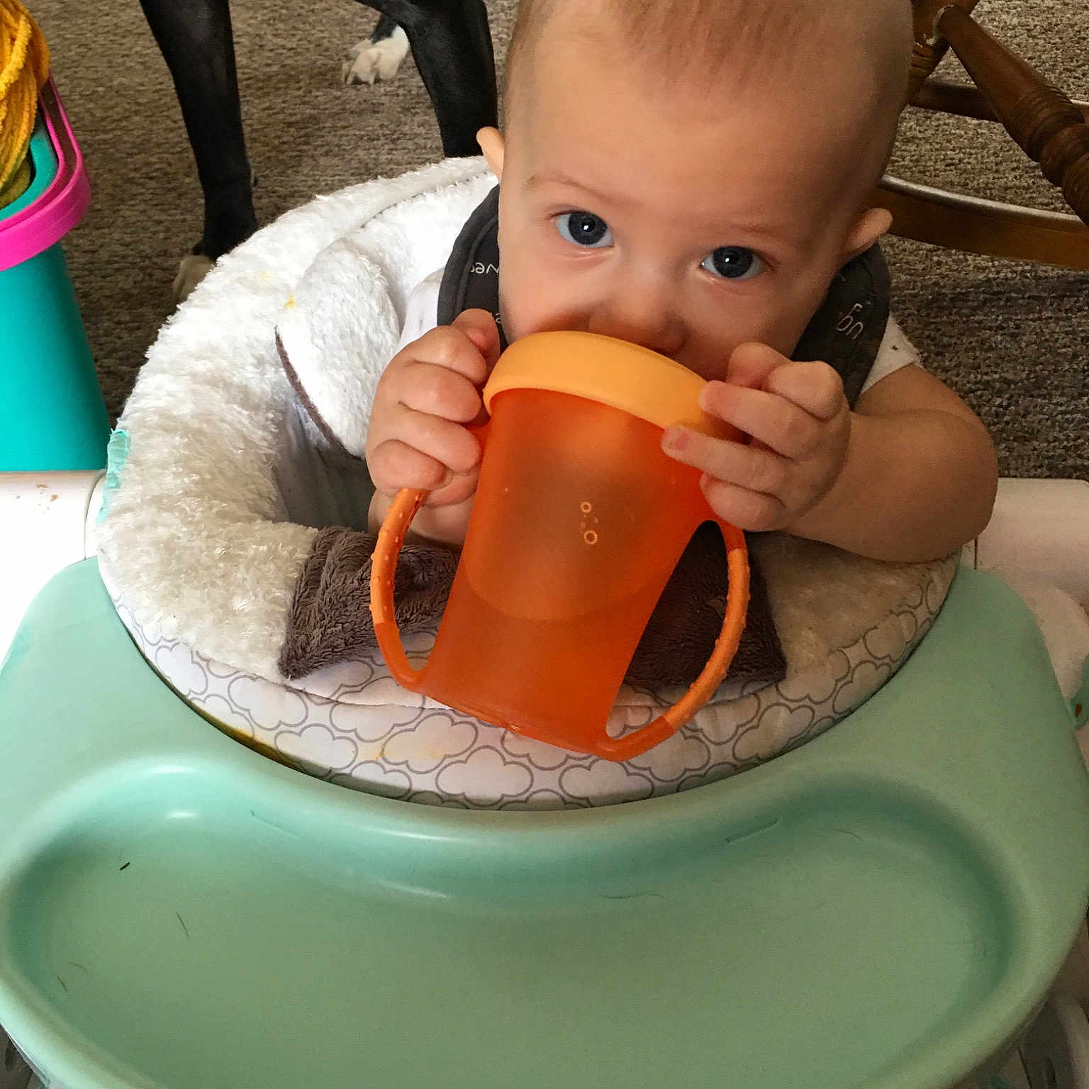 Daniel joined the competition — help win amazing prizes! child, drink, drinking, eating, food, toddler