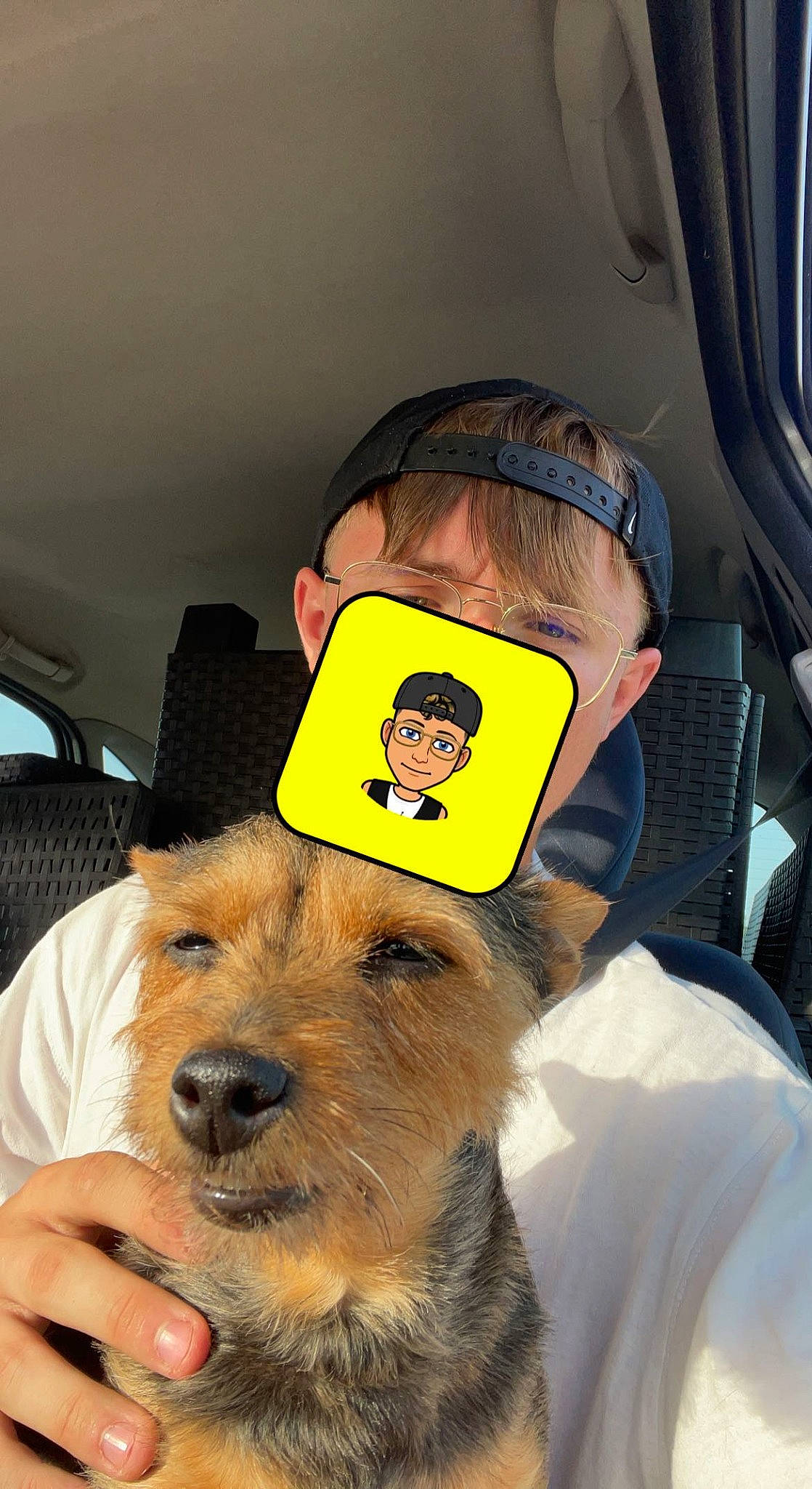 Lamisse a rejoint le concours — aidez-le/la à gagner de superbes lots ! audio_equipment, auto_part, baseball_cap, cap, car_seat, carnivore, companion_dog, dog, dog_breed, dog_clothes, eyewear, family_car, fur, hat, motor_vehicle, personal_protective_equipment, selfie, snout, vehicle_door, working_animal