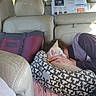 dog, person, car_interior, seat, pillow, blanket, box, window, hand, resting, snuggling, white_dog, tan_dog, patterned_pillow, clothing, leather_seat, travel, road_trip, sleeping, cozy