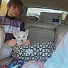 car_interior, person, dog, pet, backseat, blanket, bag, window, seat, travel, young_person, animal, resting, casual, daylight, road_trip, leisure, vehicle, cozy, companion