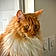 Tyrion