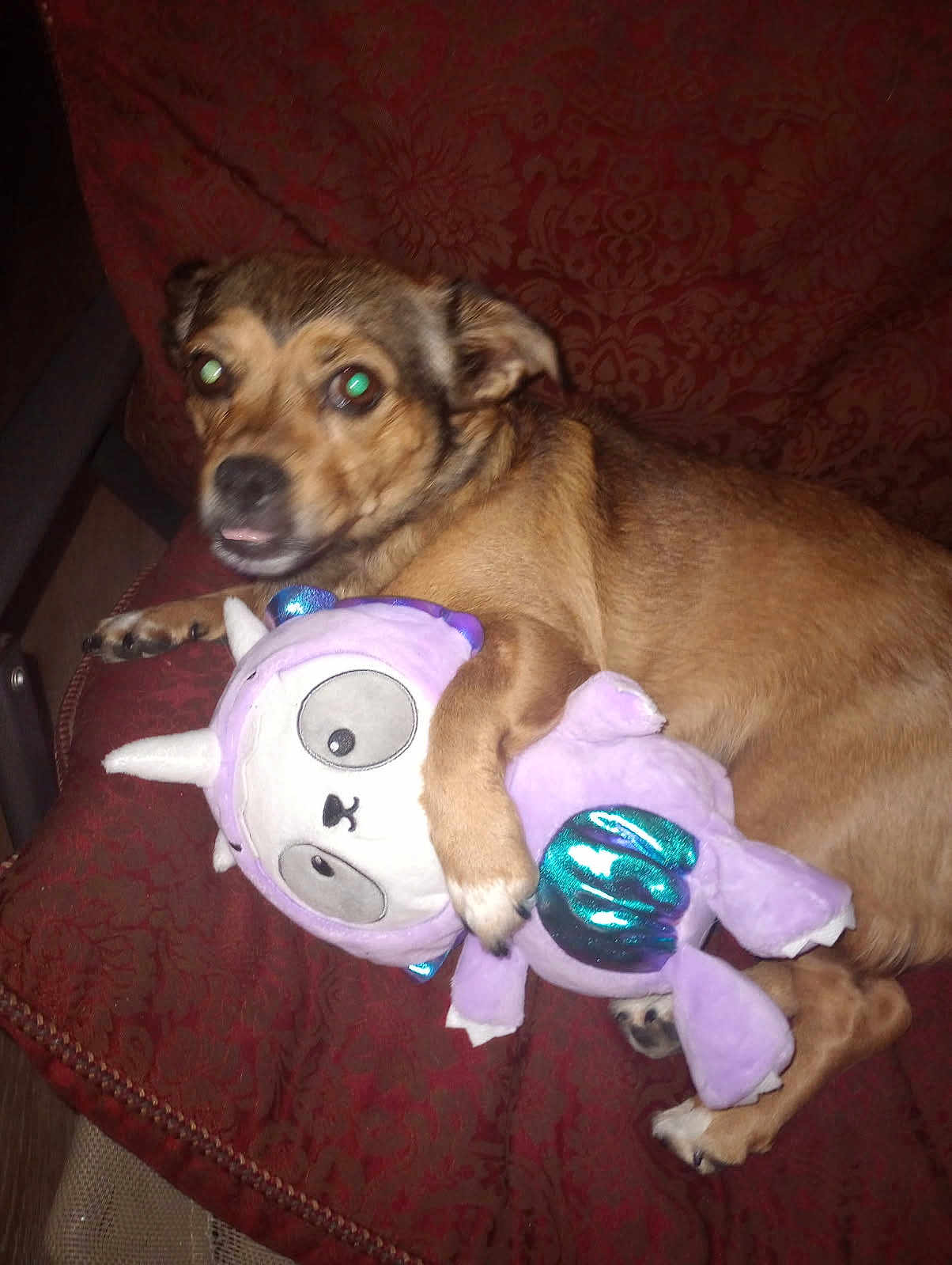 Rosie