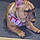 Nala