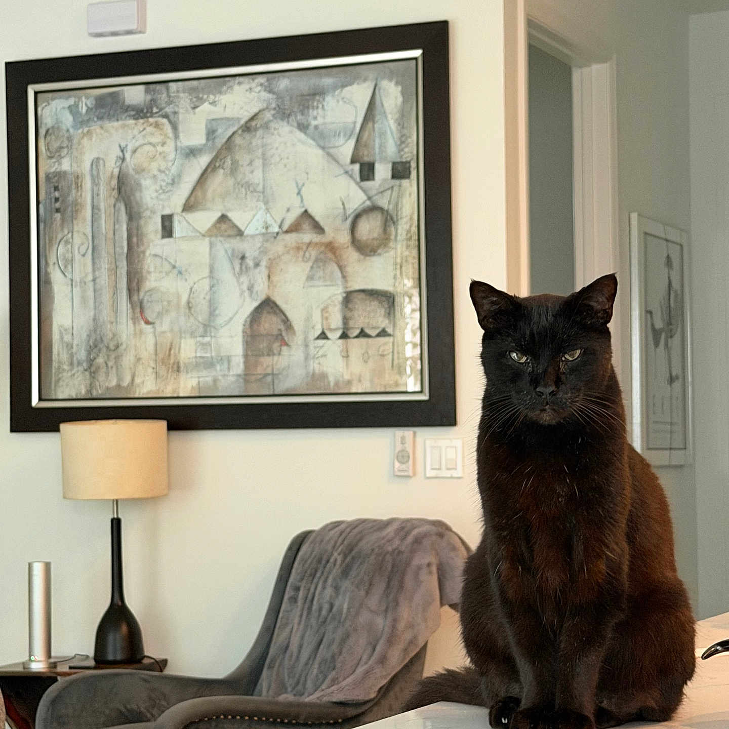 Ringo joined the competition — help win amazing prizes! cat, black_cat, indoor, living_room, furniture, lamp, armchair, blanket, table, marble, artwork, wall_art, expression, pet, domestic_animal, sitting, cozy, modern, interior, home