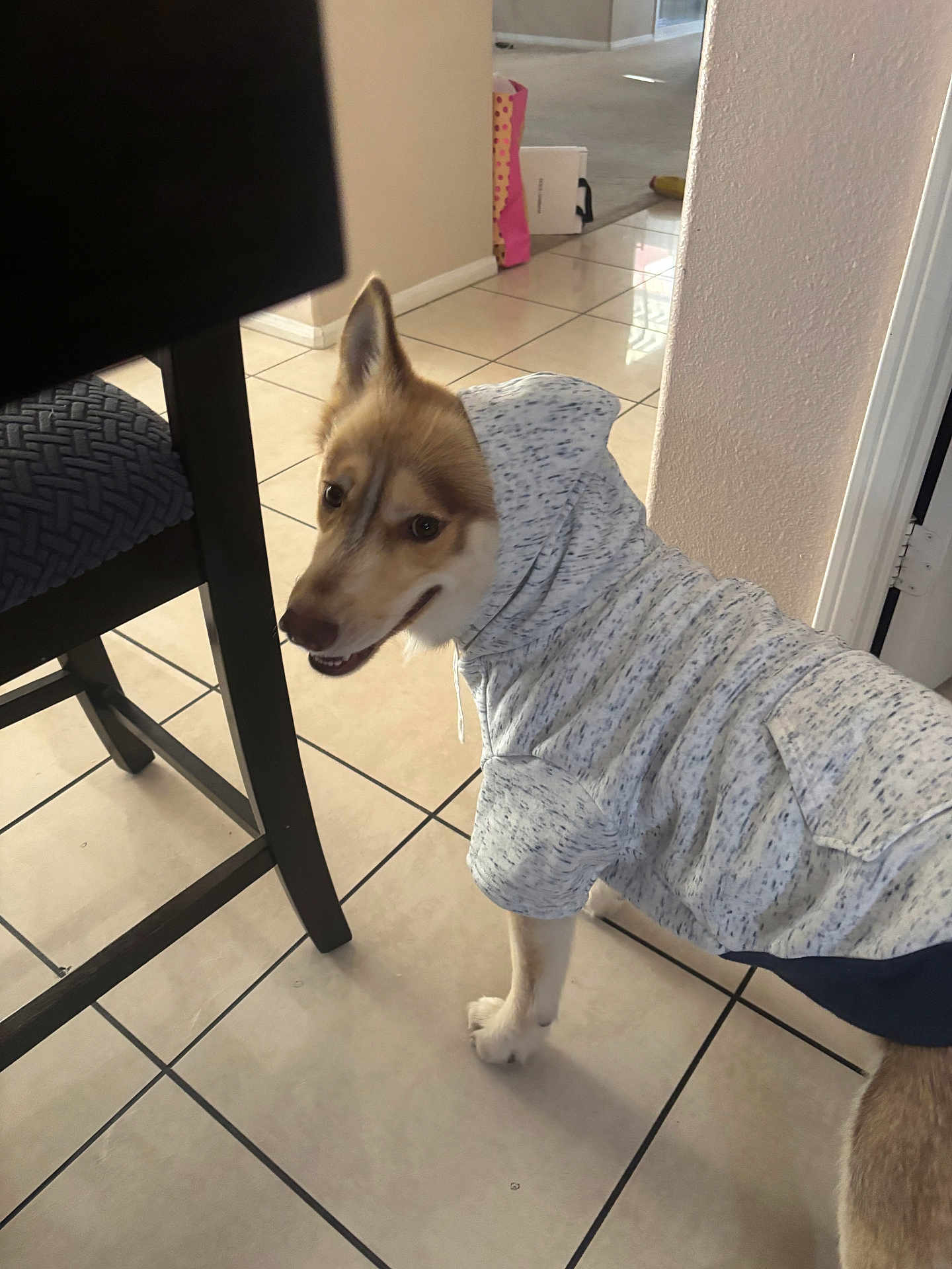 Canelo
