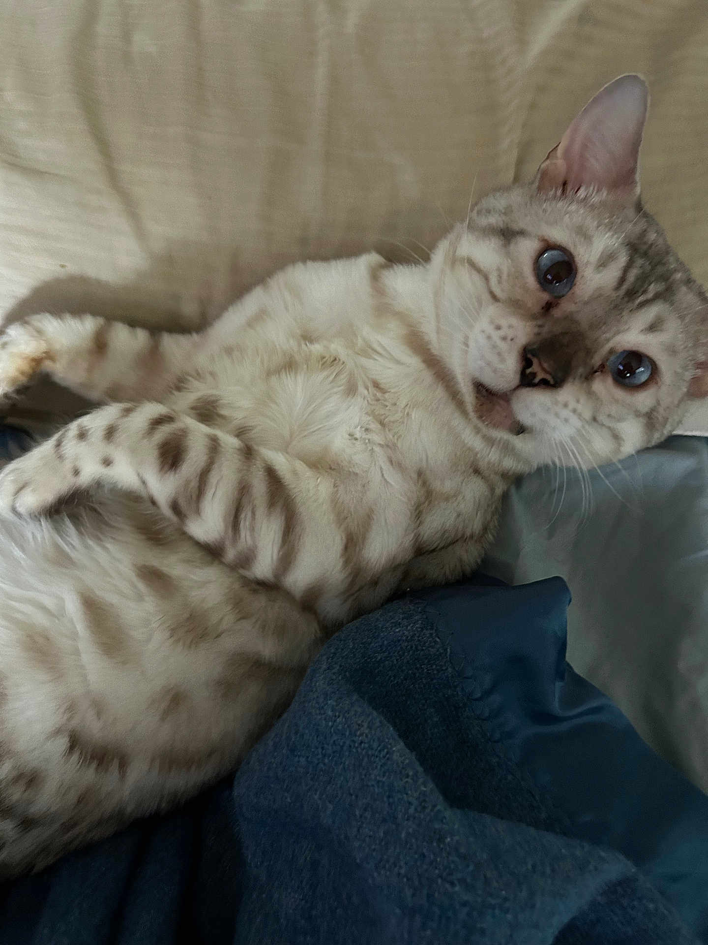Benny