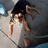 animal, bare_feet, black_and_tan, canine, casual, collar, companion, concrete_floor, curious, daylight, dog, domestic_animal, leash, looking_up, outdoor, pavement, pet, relaxed, shadow, shoe