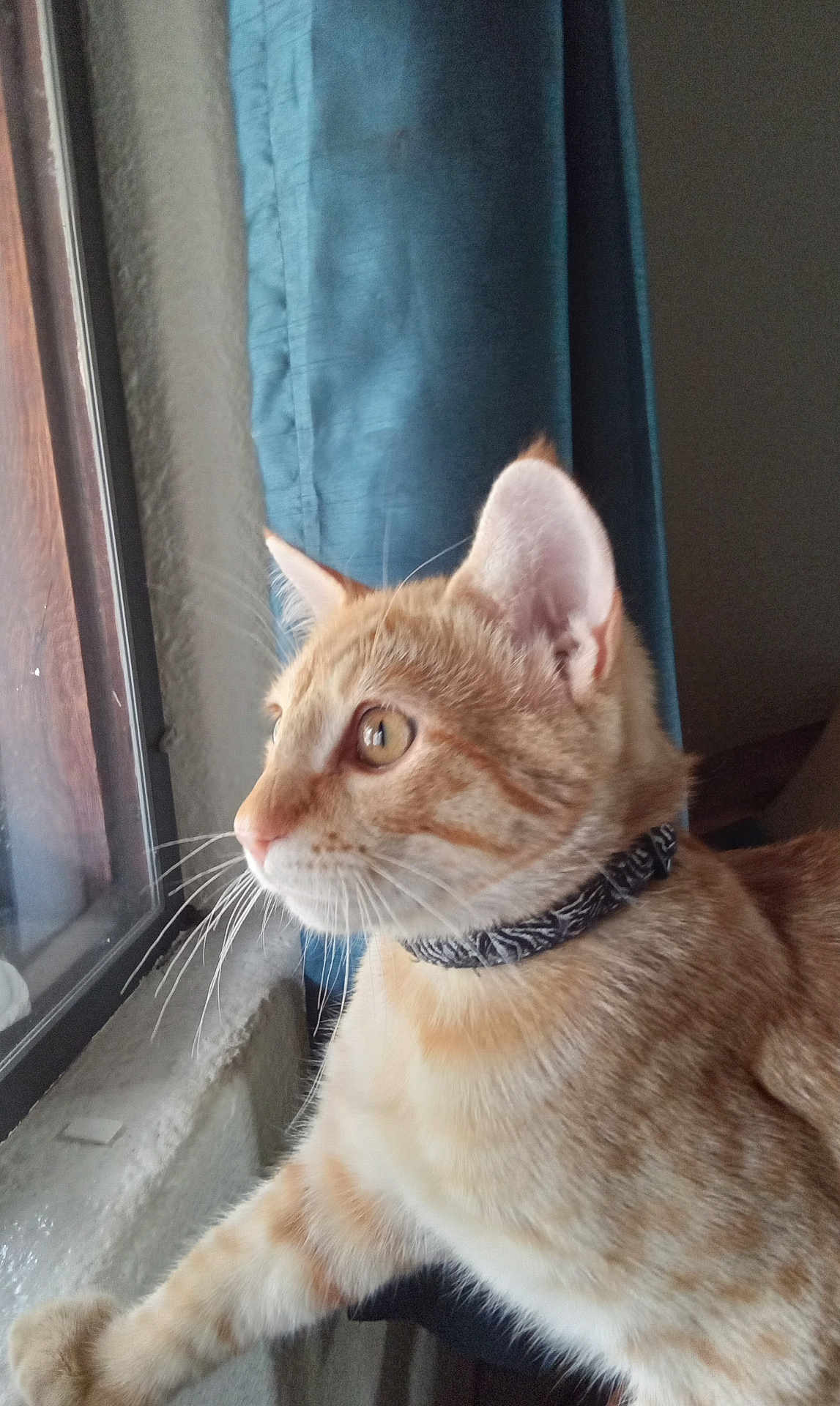 Dennis