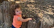 Thorin is registered to the contest to win money with this photo: toddler, child, curly_hair, orange_shirt, navy_shorts, wooden_fence, outdoor, daylight, peacock, bird, nature, leaves, tree, playful, looking_back, fence, park, sunlight, ground, animal