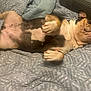 Staccs is registered to the contest to win money with this photo: dog, lying_down, bed, blanket, pink_belly, paw, nail_polish, fur, pet, indoor, cute, resting, animal, canine, relaxed, face, ears, snout, tongue, comfort
