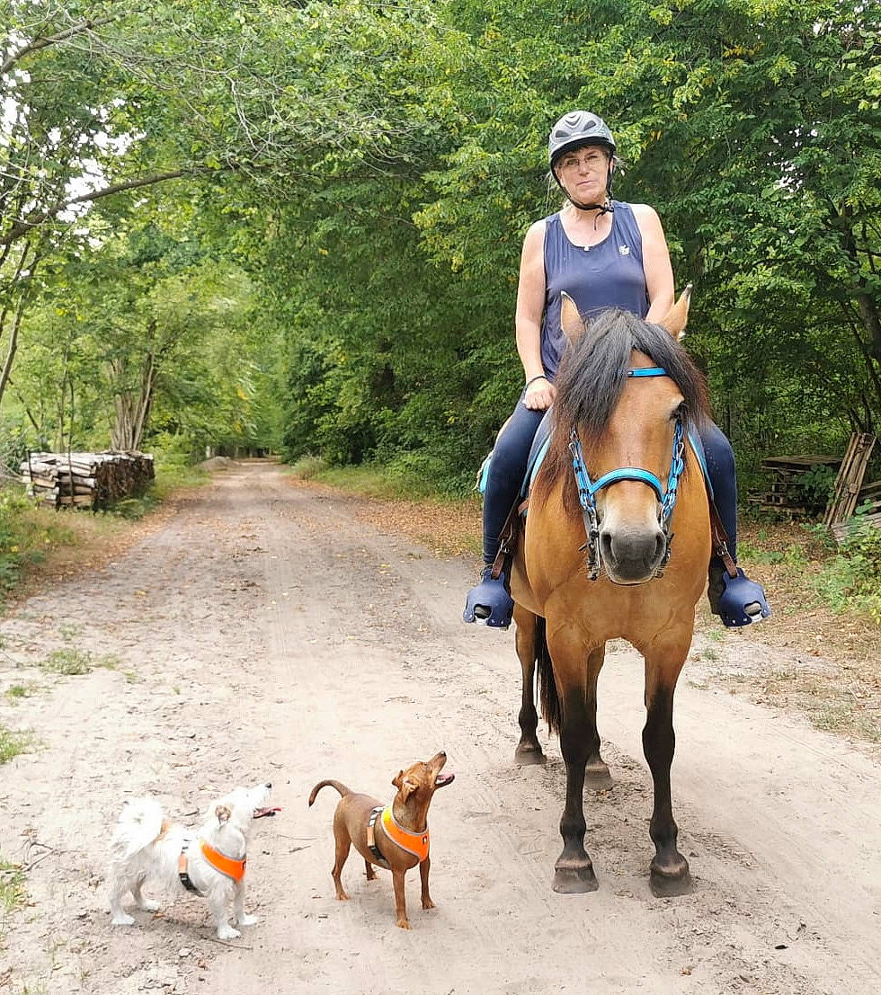 Optitcoeur a rejoint le concours — aidez-le/la à gagner de superbes lots ! bridle, carnivore, companion_dog, dog, dog_breed, equestrian_sport, equestrianism, fawn, horse, horse_supplies, horse_tack, leisure, mammal, pack_animal, plant, recreation, rein, saddle, tree, working_animal