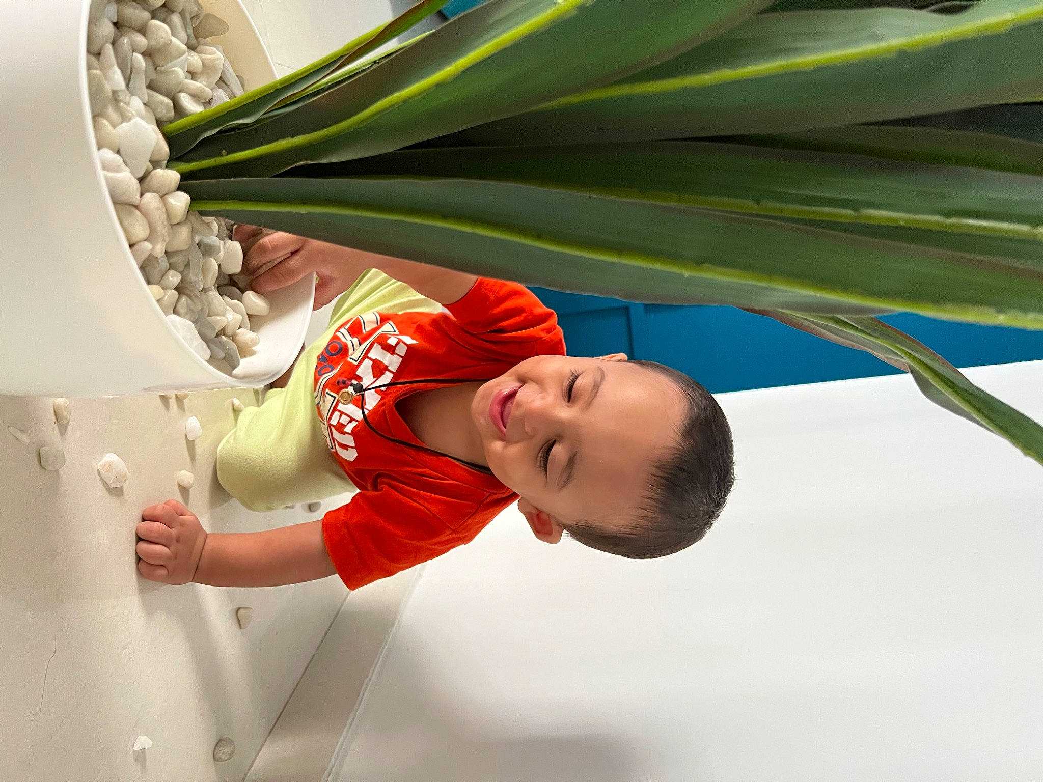 Avyaan is registered to the contest to win money with this photo: arecales, baby, banana_family, ceiling, child, ensete, eye, fashion_accessory, flowering_plant, fun, joy, leisure, person, plant, plant_stem, terrestrial_plant, toddler, tree