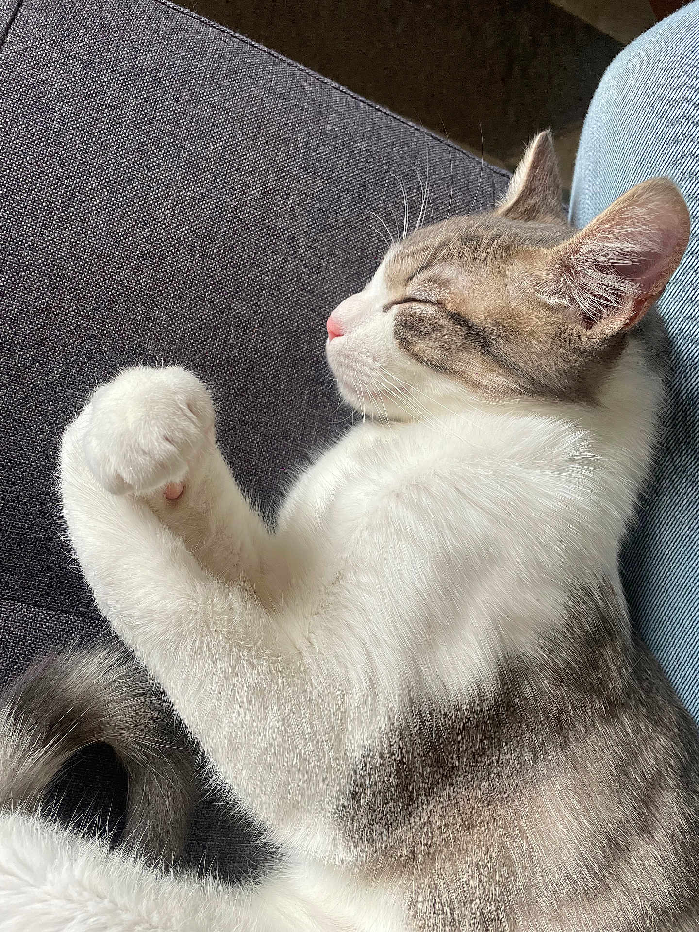 Axel