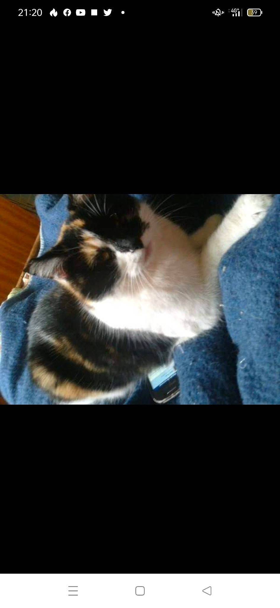 Rouffie participe au concours pour gagner de l'argent avec cette photo : carnivore, cat, cloud, comfort, darkness, domestic_short_haired_cat, eye, felidae, foot, fur, human_leg, meteorological_phenomenon, night, paw, sky, small_to_medium_sized_cats, snout, square, tail, whiskers