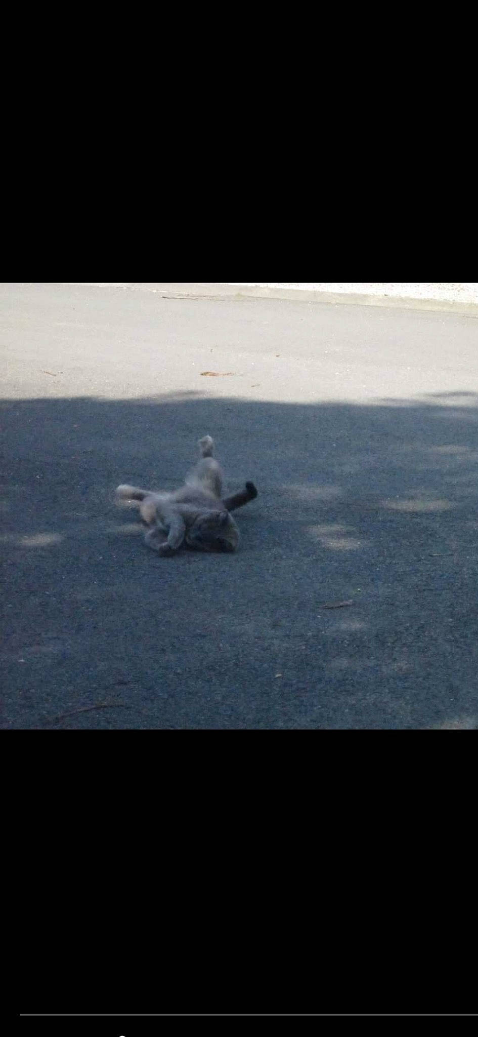 Grisette participe au concours pour gagner de l'argent avec cette photo : aircraft, asphalt, electric_blue, gesture, horizon, landscape, ocean, road_surface, shadow, wing