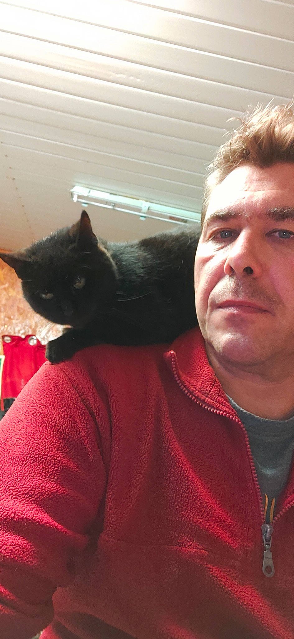 Isba a rejoint le concours — aidez-le/la à gagner de superbes lots ! beard, carnivore, cat, comfort, cool, domestic_short_haired_cat, eye, eyebrow, facial_hair, felidae, gesture, hair, happy, jaw, lap, small_to_medium_sized_cats, t_shirt, vertebrate, whiskers, wrinkle