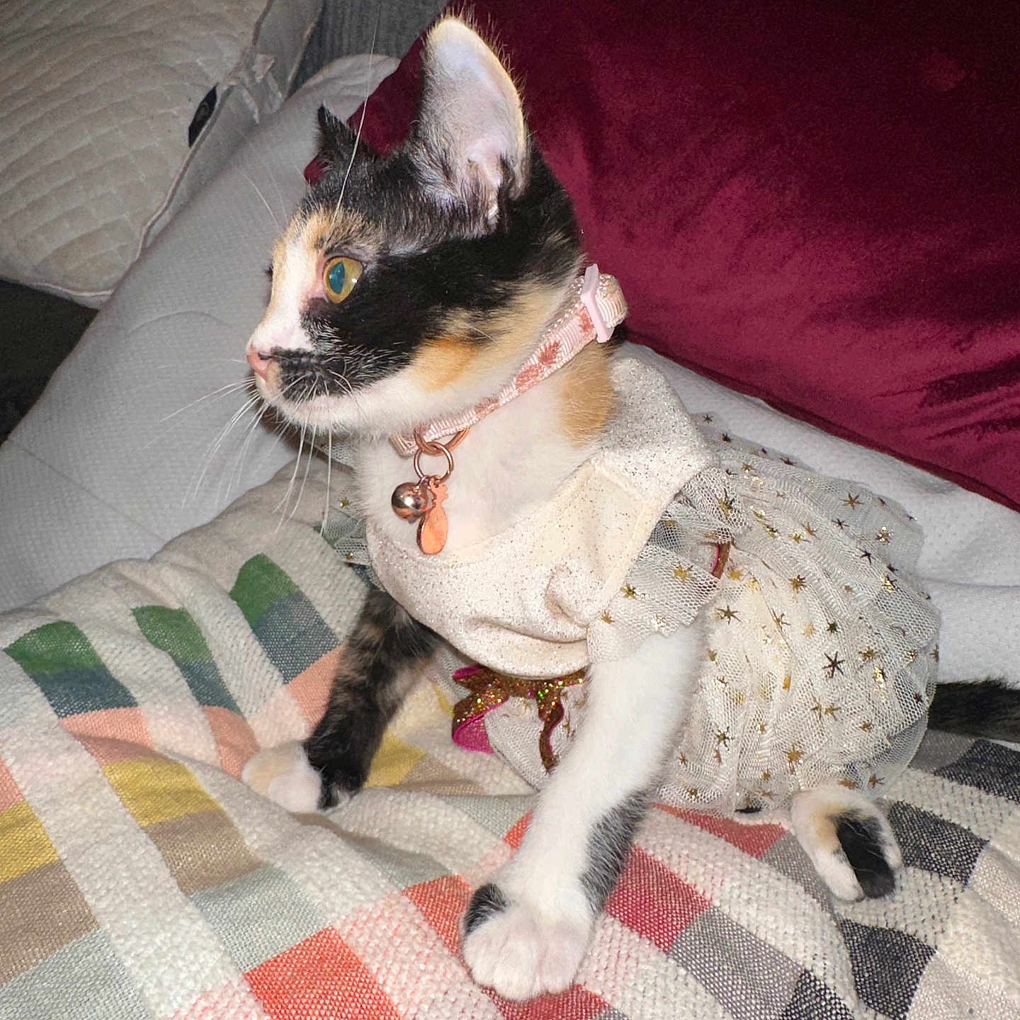 Penny Aka Libby