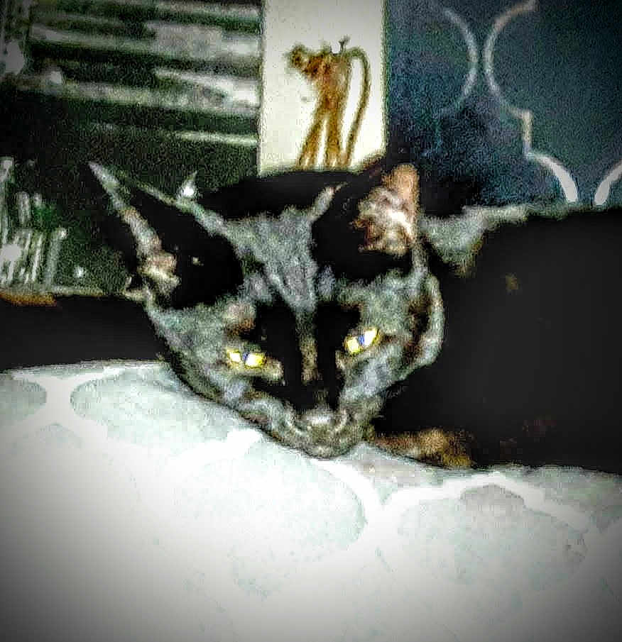 Binx