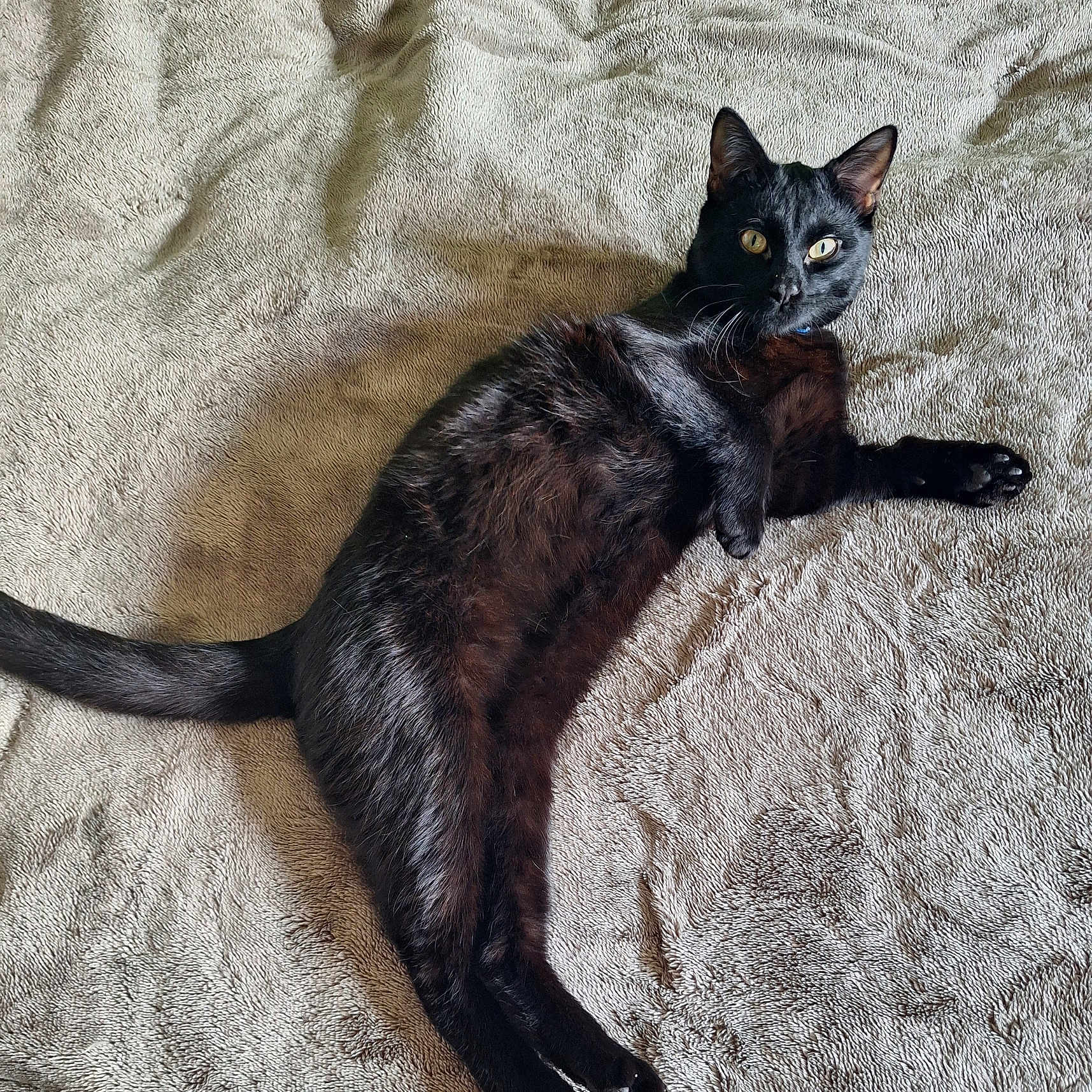 Moka