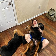 Gorgey joined the competition — help win amazing prizes! barefoot, black_dog, blue_shorts, brown_dog, canine, casual, companion, cuddling, dog, door, flooring, friendly, home, indoor, person, pet, relaxed, sitting, wall, wooden_floor