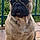 Romeo