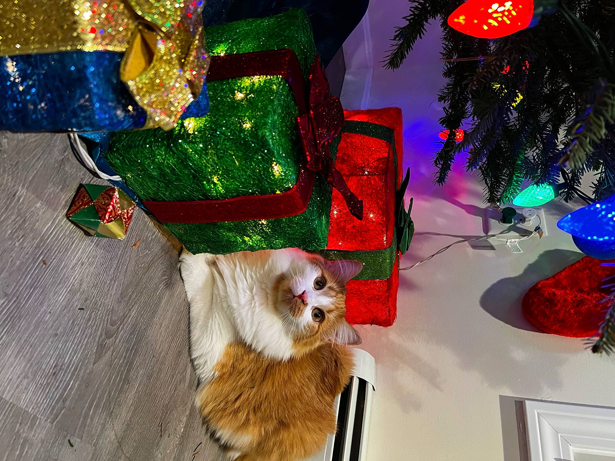 Emerald joined the competition — help win amazing prizes! carnivore, christmas, christmas_decoration, christmas_eve, christmas_ornament, christmas_tree, companion_dog, decoration, dog, dog_breed, dog_supply, event, fawn, holiday, holiday_ornament, interior_design, ornament, santa_claus, sporting_group, toy_dog