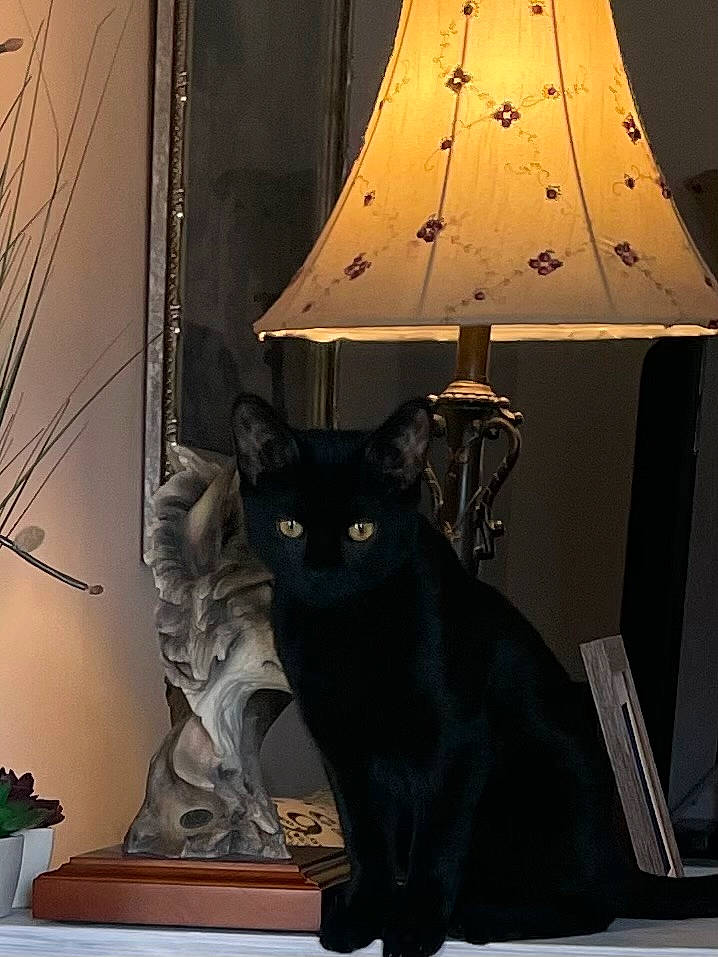 Boo